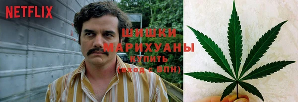 прущие крисы Баксан
