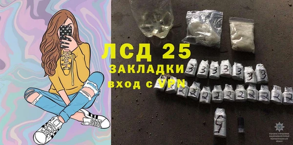 ГАЛЛЮЦИНОГЕННЫЕ ГРИБЫ Балахна