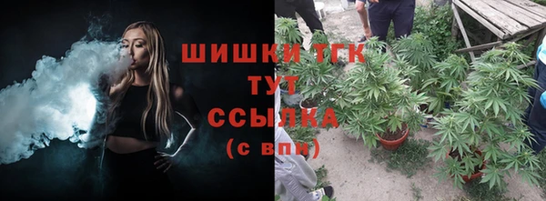 ГАЛЛЮЦИНОГЕННЫЕ ГРИБЫ Балахна