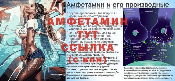 ГАЛЛЮЦИНОГЕННЫЕ ГРИБЫ Балахна