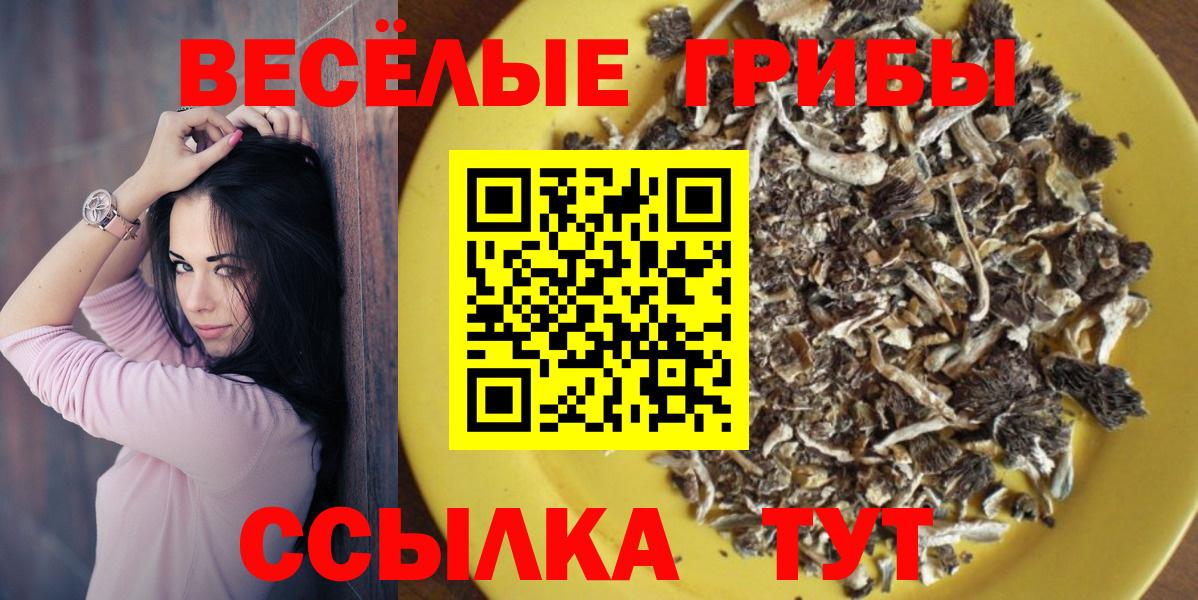 Галлюциногенные грибы Magic Shrooms Балтийск