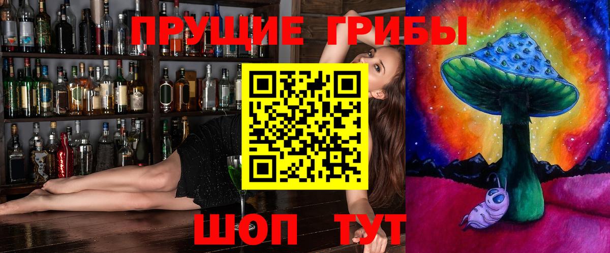 наркотики  Вход с VPN  Балтийск  Псилоцибиновые грибы Psilocybe 